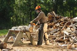 STIHL Farm and Ranch Chainsaws