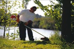 STIHL Professional Grass Trimmer