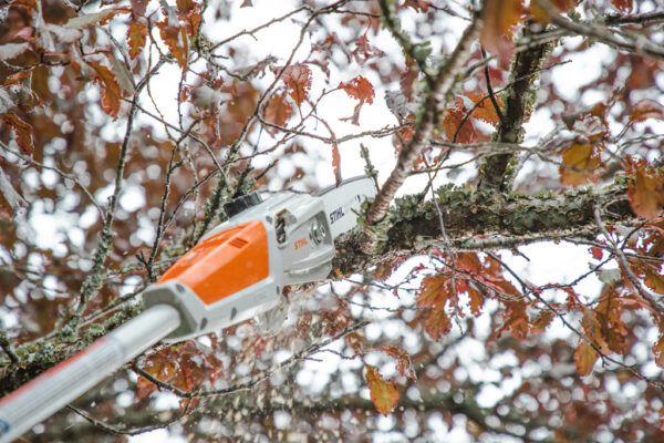 STIHL HTA 50 Battery Powered Pole Saw