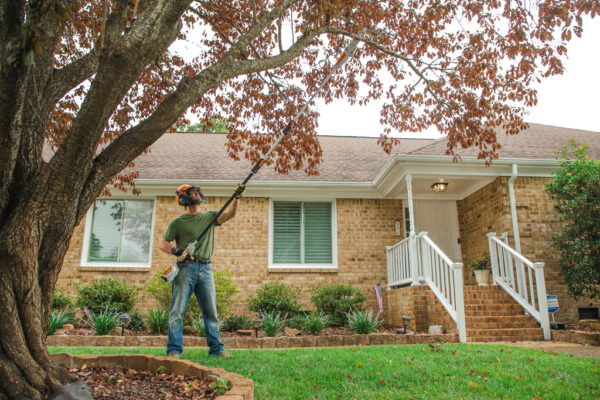 STIHL HTA 50 Battery Powered Pole Saw