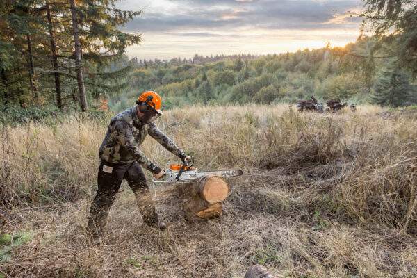 STIHL MSA 300 Battery Chainsaw